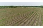 Van Buren County, Michigan farmland - LAND AUCTION - 194+/- ACRES OFFERED IN 5 TRACTS IN VAN BUREN COUNTY, MICHIGAN